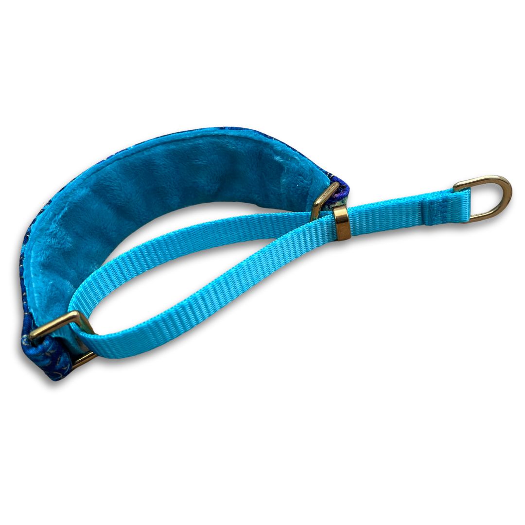 Butterfly Dream Walking Hound Collar 8-11"