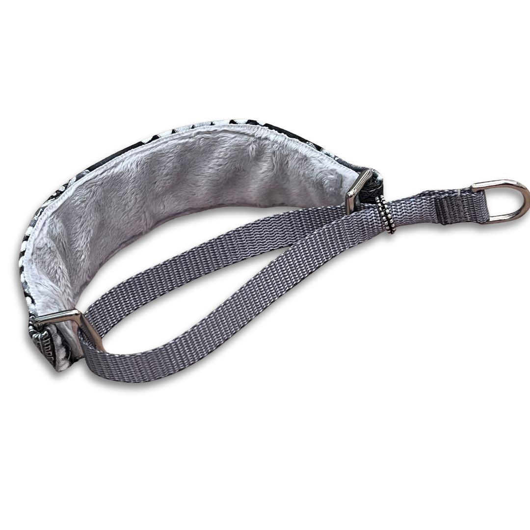 Paisley Splendor Walking Hound Collar 8-11"