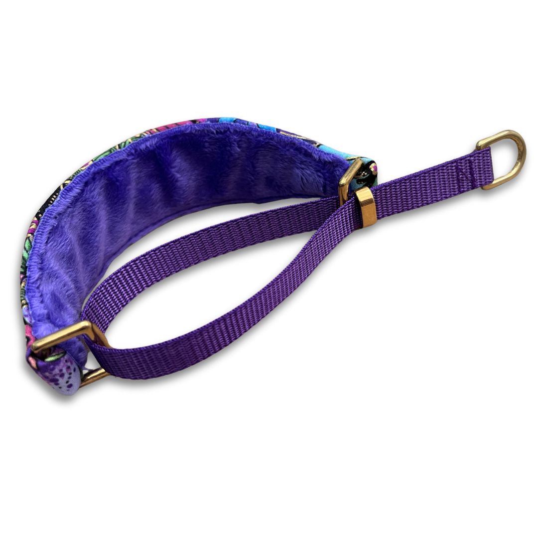 Tropical Enchantment Walking Hound Collar 8-11"