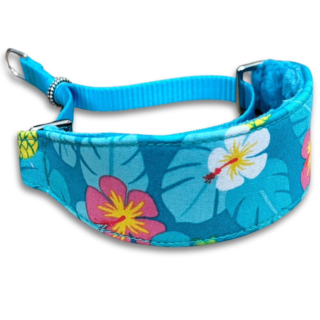 Tropicana Paradise Walking Hound Collar 8-11"