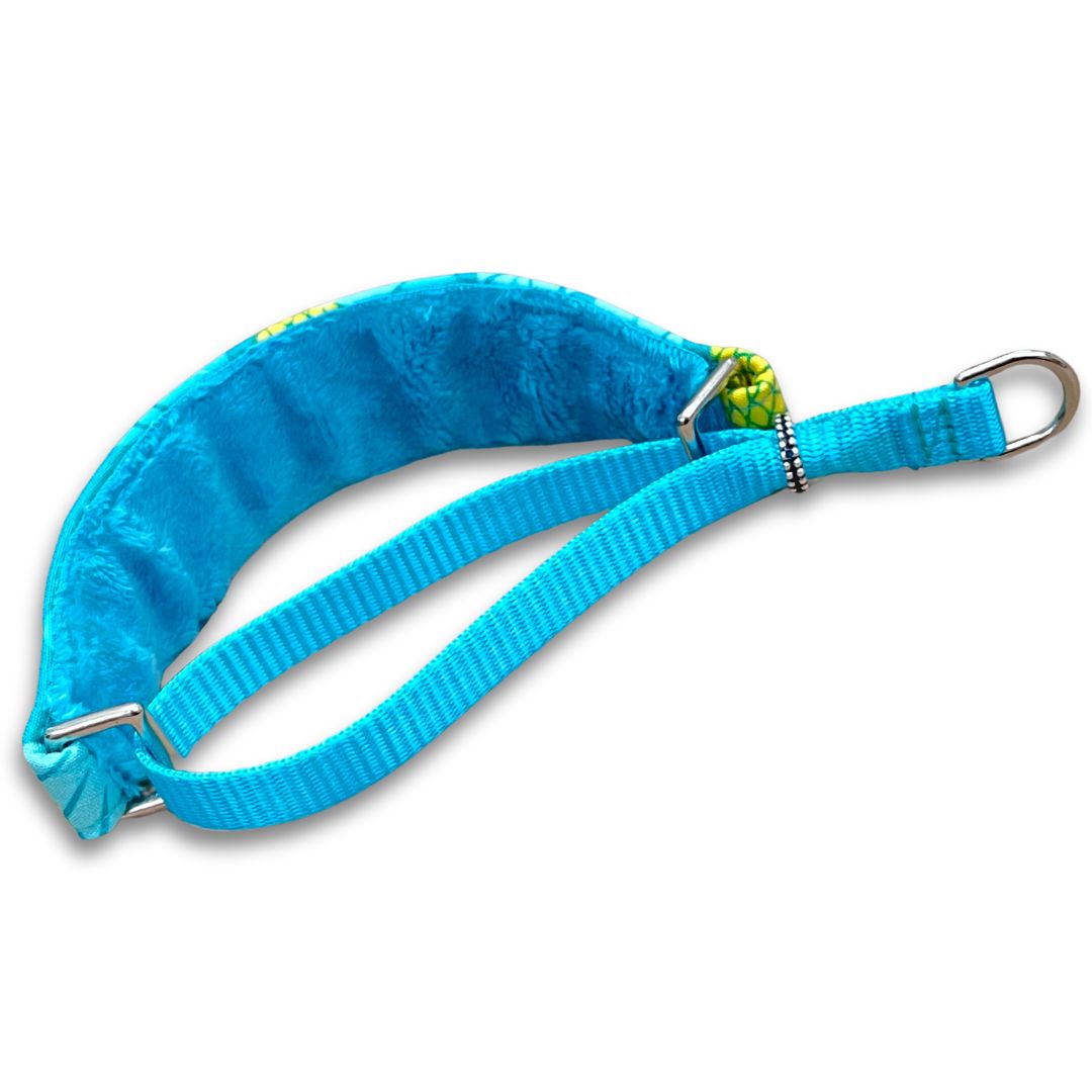 Tropicana Paradise Walking Hound Collar 8-11"