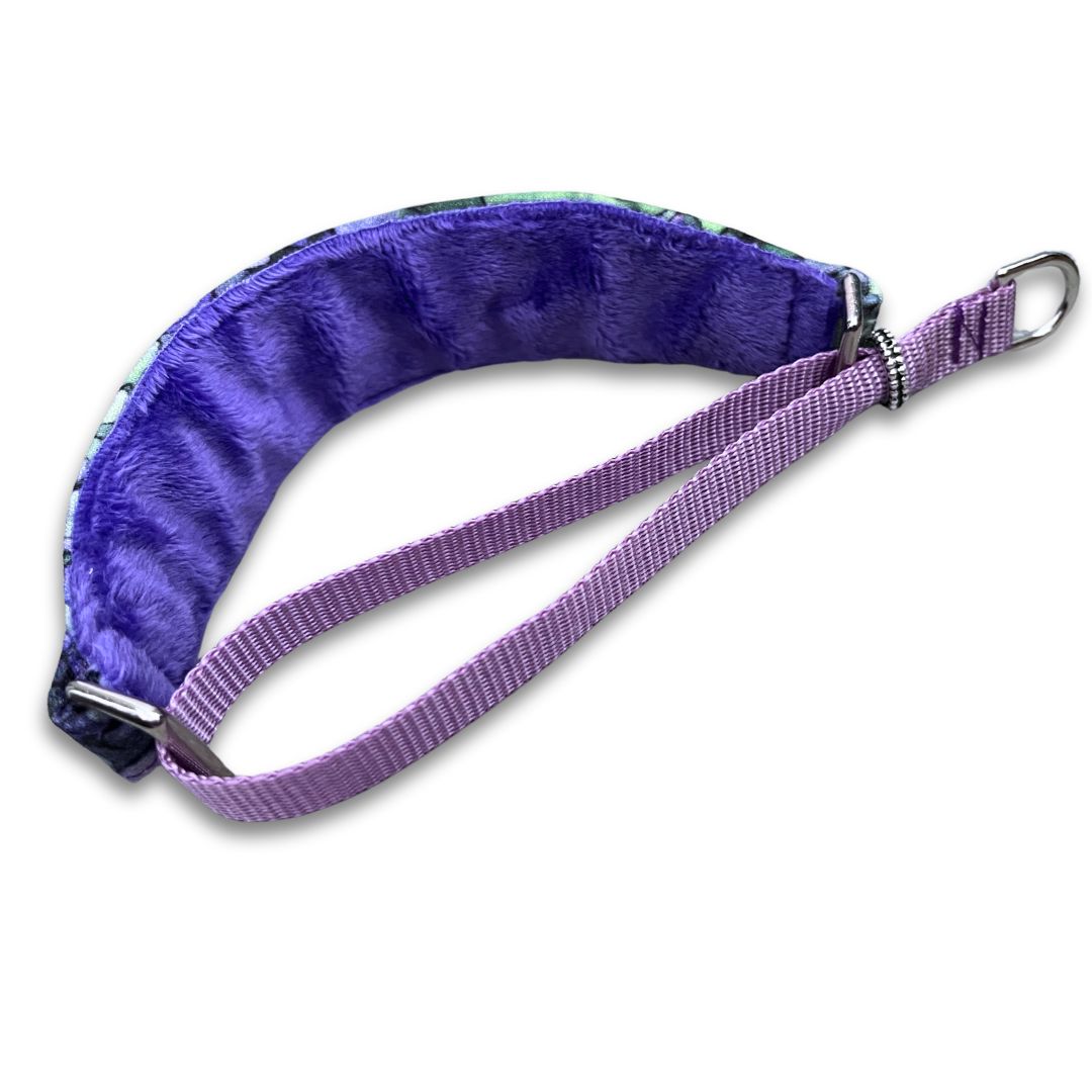 Watercolor Bliss Walking Hound Collar 8-11"