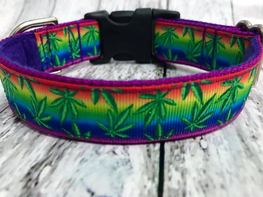 Weed Rainbow 1 Inch Side Release 9-12"