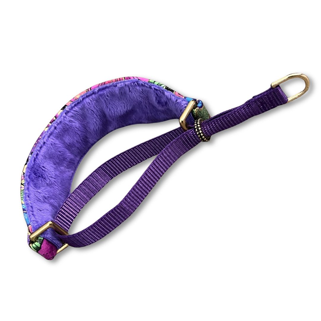 Tropical Enchantment Walking Hound Collar 8-11"
