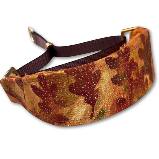 Autumn Glitz Walking Hound Collar  8-11"