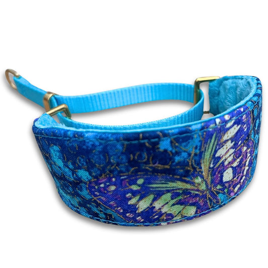 Butterfly Dream Walking Hound Collar  8-11"