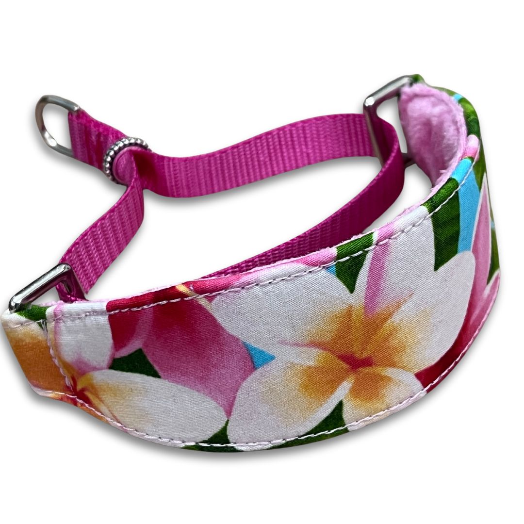 Blooming Plumerias Walking Hound Collar  8-11"