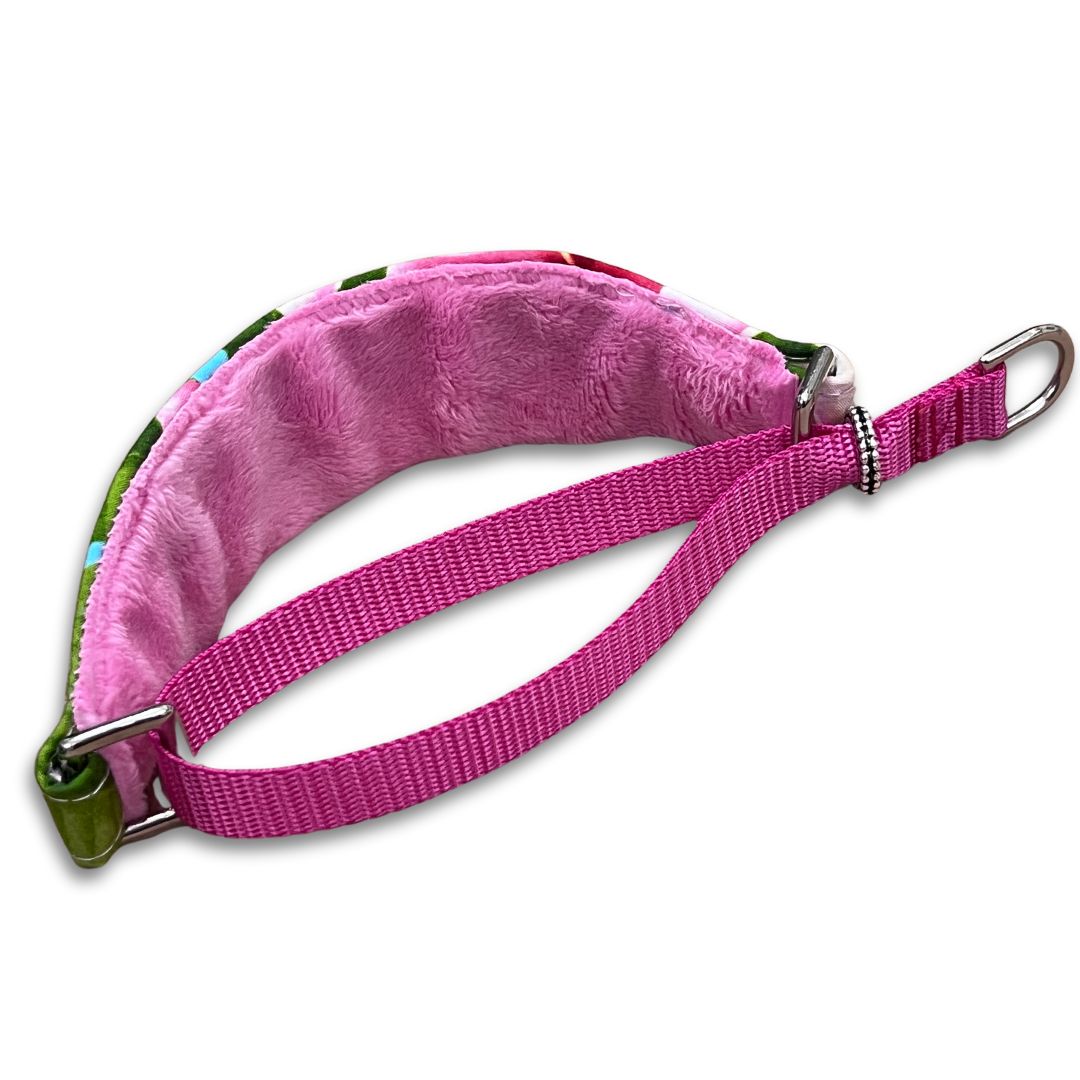 Blooming Plumerias Walking Hound Collar  8-11"