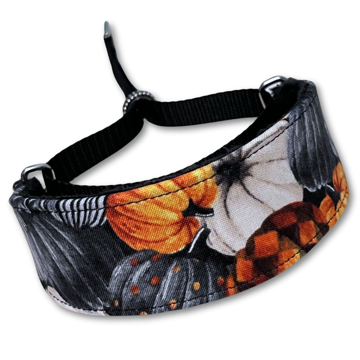 Pumpkin Season Walking Hound Collar  8-11"