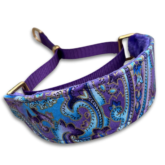 Purple Paisley Walking Hound Collar  8-11"