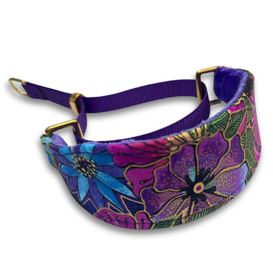 Tropical Enchantment Walking Hound Collar  8-11"