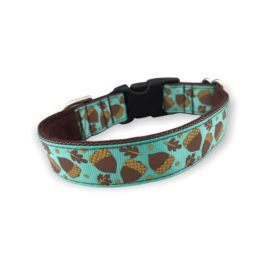 Acorns Turquoise 1 Inch Side Release 9-12"